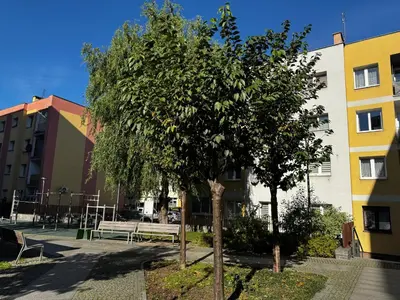 Budynek, w którym mieści się apartament