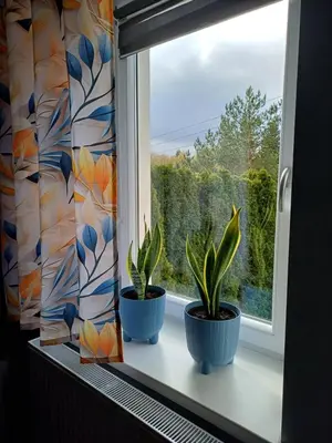 Ogród w obiekcie Jelonkowo