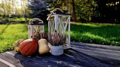 Ogród w obiekcie Domek z widokiem Wilczy Jar