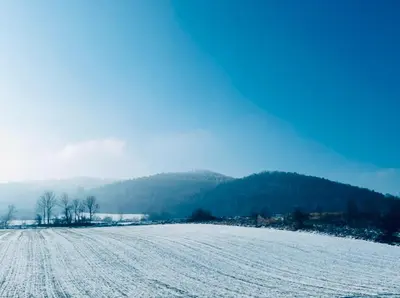 Przyroda w pobliżu tego gospodarstwa agroturystycznego