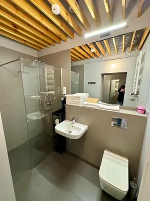 Łazienka w obiekcie Apartament Paryski 1- loftowe studio blisko Rynku