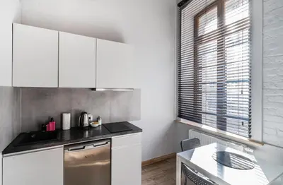 Kuchnia lub aneks kuchenny w obiekcie Apartament Paryski 1- loftowe studio blisko Rynku