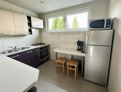 Kuchnia lub aneks kuchenny w obiekcie GRAFIT - Apartament na wzgórzu - Polanica Zdrój