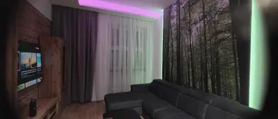 Telewizja i/lub zestaw kina domowego w obiekcie Apartament centrum - loft Plac Piłsudskiego