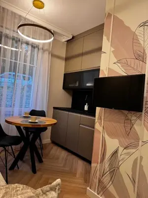 Kuchnia lub aneks kuchenny w obiekcie Apartament Piastowska 2