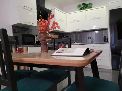 Kuchnia lub aneks kuchenny w obiekcie Apartament Czekoladowy Zdrój