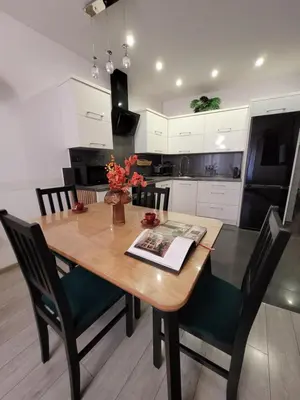 Kuchnia lub aneks kuchenny w obiekcie Apartament Czekoladowy Zdrój