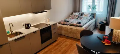 Kuchnia lub aneks kuchenny w obiekcie Apartament z Windą