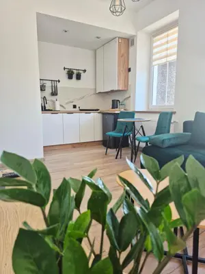 Kuchnia lub aneks kuchenny w obiekcie Apartament Moniuszko