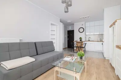 Kuchnia lub aneks kuchenny w obiekcie Poezji Gliwice Modern&Bright Apartment with Balcony by Noclegi Renters