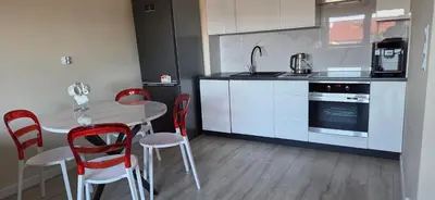 Kuchnia lub aneks kuchenny w obiekcie Apartament Srebrny Quick Park Oława