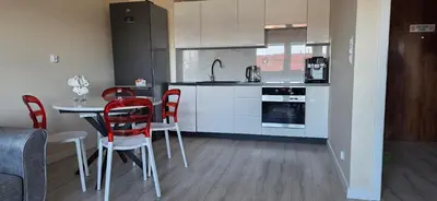 Kuchnia lub aneks kuchenny w obiekcie Apartament Srebrny Quick Park Oława