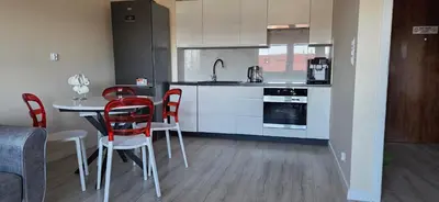 Kuchnia lub aneks kuchenny w obiekcie Apartament Srebrny Quick Park Oława