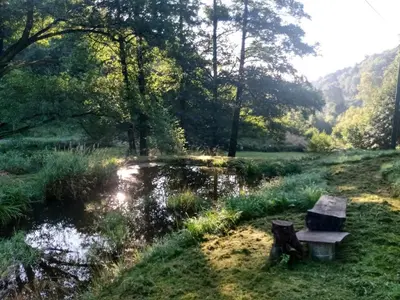 Przyroda w pobliżu tego domu w stylu alpejskim