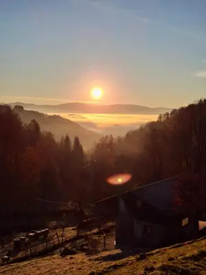 Przyroda w pobliżu tego domu w stylu alpejskim