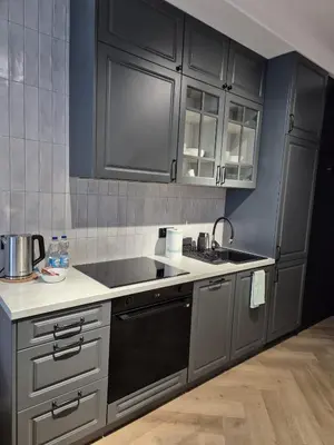 Kuchnia lub aneks kuchenny w obiekcie Rio Apartamenty Wrocław