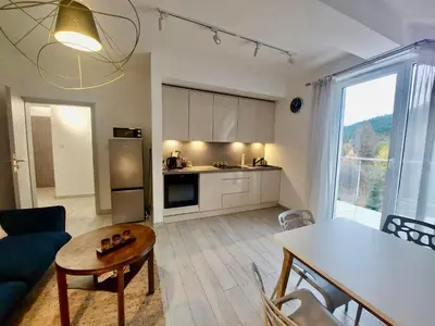 Kuchnia lub aneks kuchenny w obiekcie Apartamenty Czarna Góra 31