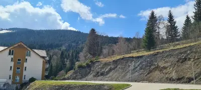 Przyroda w pobliżu tego apartamentu