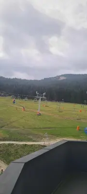 Przyroda w pobliżu tego apartamentu