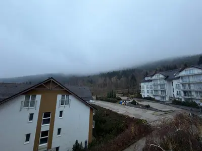 Przyroda w pobliżu tego apartamentu