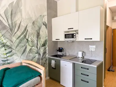 Kuchnia lub aneks kuchenny w obiekcie Apartament Szałwiowa