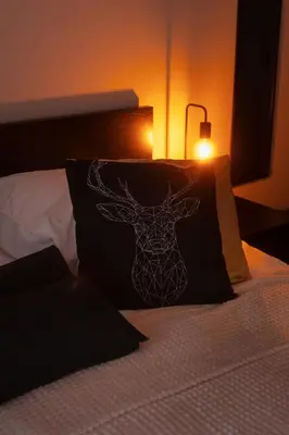 Łóżko lub łóżka w pokoju w obiekcie Apartament Czarny Dab