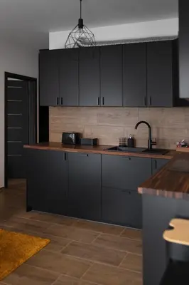 Kuchnia lub aneks kuchenny w obiekcie Apartament Czarny Dab