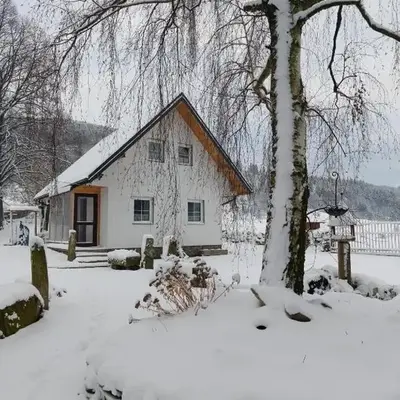 Domki pod lipą