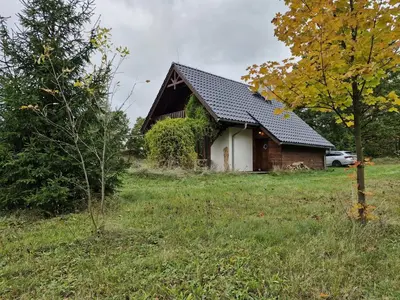 Ogród w obiekcie Czapliniec