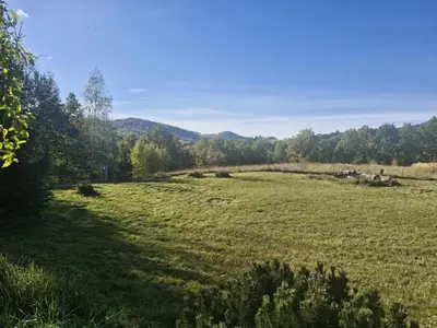 Przyroda w pobliżu tego domu w stylu alpejskim