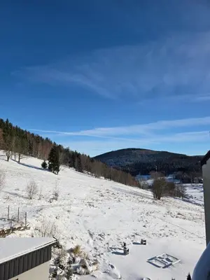 Przyroda w pobliżu tego apartamentu
