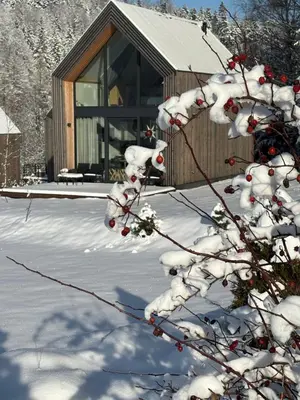Obiekt Domki Pod Lasem - Domek Bukowy zimą