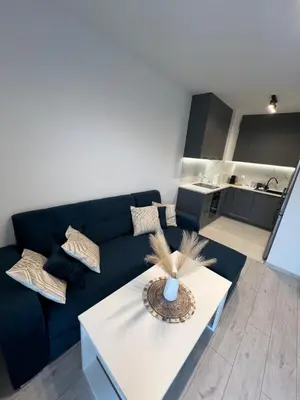 Kuchnia lub aneks kuchenny w obiekcie Apartamenty Sienkiewicza Residence 4
