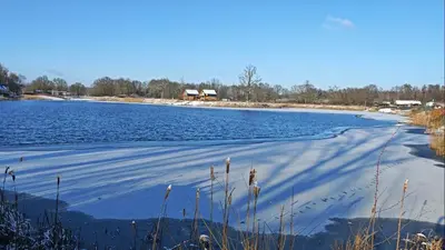Przyroda w pobliżu tego apartamentu
