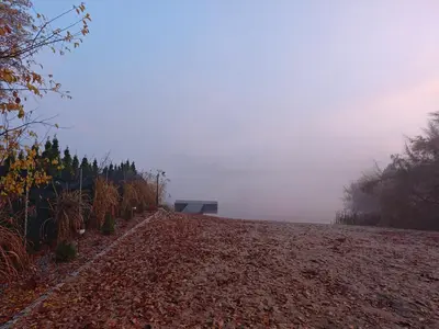 Przyroda w pobliżu tego apartamentu