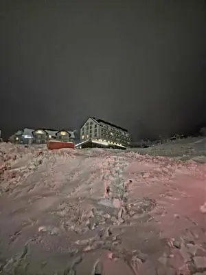 Przyroda w pobliżu tego apartamentu