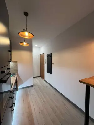 Kuchnia lub aneks kuchenny w obiekcie Apartament Centrum Kłodnicka