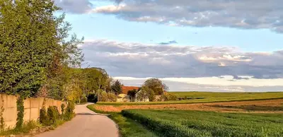 Przyroda w pobliżu tego gospodarstwa agroturystycznego