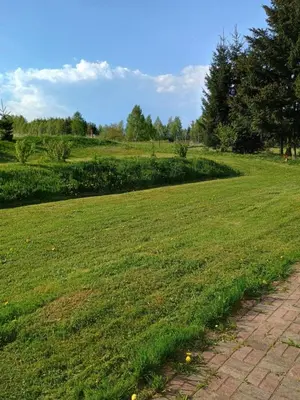 Ogród w obiekcie Noclegi Sówka