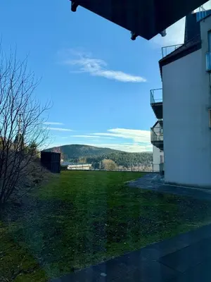 Przyroda w pobliżu tego apartamentu