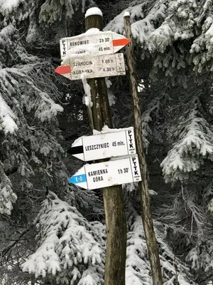 Obiekt Agroturystyka Monte Luna - domki zimą