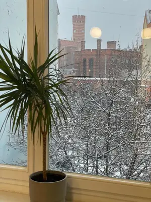 Obiekt Apartament przy Sądzie zimą