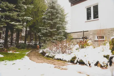 Obiekt Szczytny Zakątek Apartamenty zimą