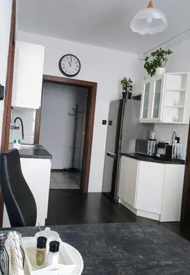 Kuchnia lub aneks kuchenny w obiekcie Studio Szczawienko 2