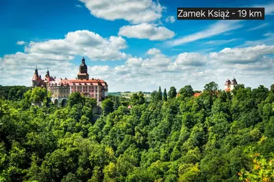 Przyroda w pobliżu tego apartamentu