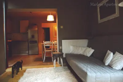 Kuchnia lub aneks kuchenny w obiekcie Marlove Apartment Wrocław