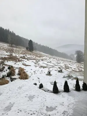 Przyroda w pobliżu tego apartamentu