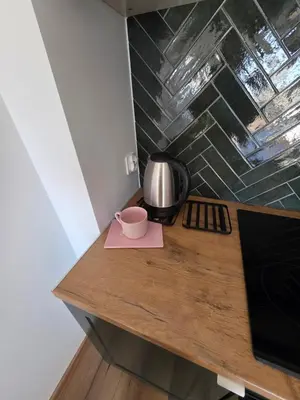 Kuchnia lub aneks kuchenny w obiekcie Apartament Podmiejska Nova