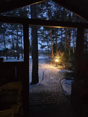 Przyroda w pobliżu tego pensjonatu