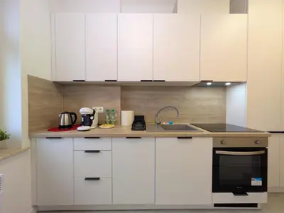 Kuchnia lub aneks kuchenny w obiekcie Rozbrat Green Point Apartment by BookingHost